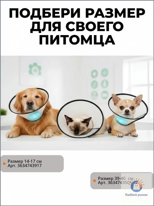 Воротник ветеринарный ЛЮБИМЫЙ БРО на липучке, 25-32 см, 25-32, фото 6