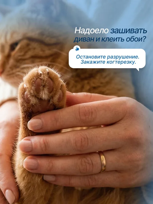 Когтерезка для кошек и собак мелких пород, вариант, фото 8