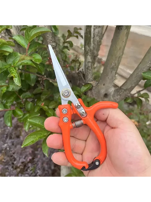 Нет бренда Садовые ножницы из нержавеющей стали Pruning shears-, вариант, фото 2