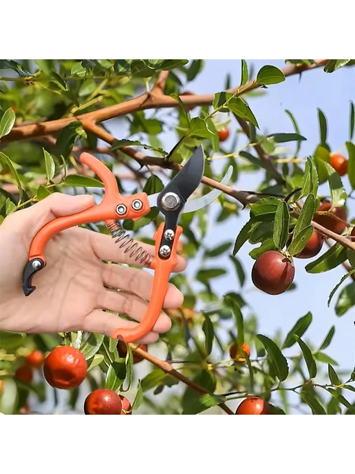 Нет бренда Садовые ножницы из нержавеющей стали Pruning shears-, оранжевый, фото 5
