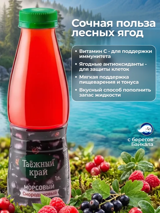 БайкалИнком Напиток морсовый Смородина Таёжный край 1л 6шт, 1 л, 6 шт, фото 2
