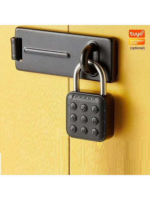 EGFirtor Tuya биометрический дверной замок IP67 tuya lock, lock, фото 3
