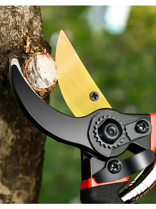 Нет бренда Секатор садовый P3406 Gold, 25 мм, 190 мм, золотой, фото 5