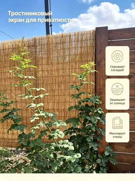 Рулоны натурального тростникового ограждения，1*2m, серый, фото 2