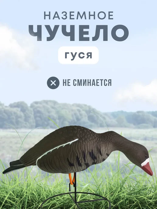 Подсадной гусь Taigan Goose кормящийся, чучело для охоты, вариант