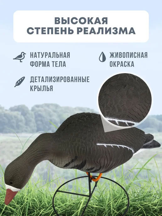 Подсадной гусь Taigan Goose кормящийся, чучело для охоты, вариант, фото 2