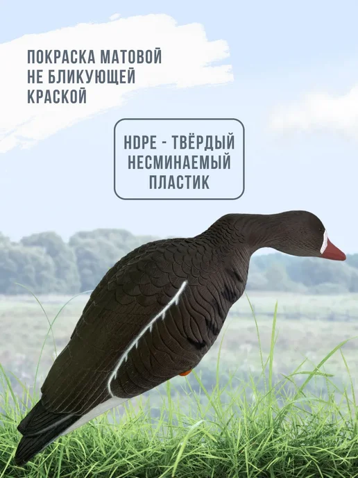 Подсадной гусь Taigan Goose кормящийся, чучело для охоты, вариант, фото 3