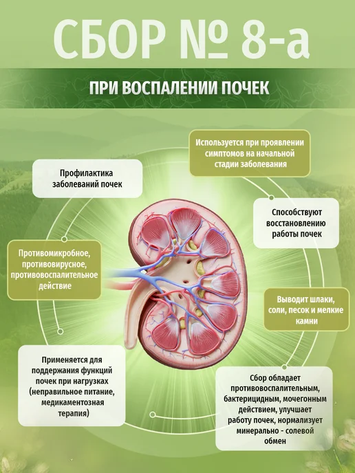 Травы Кавказа Сбор № 8-а при заболевании почек, 130 гр, 130 г, фото 5