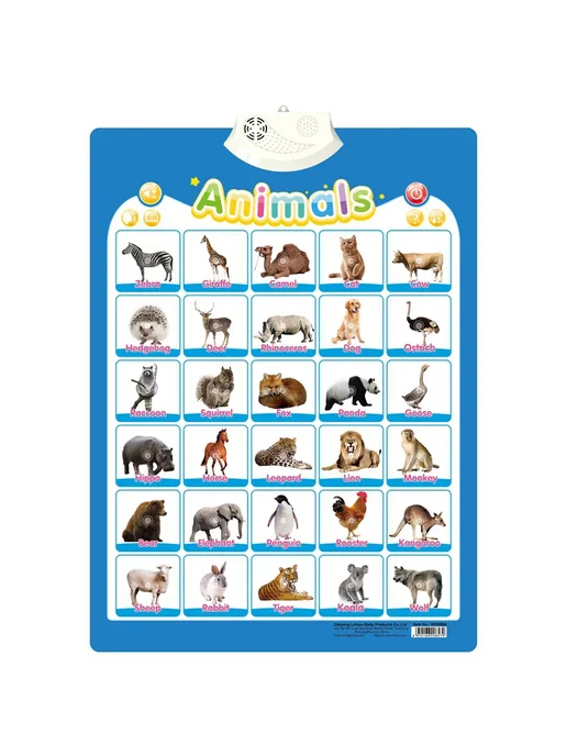 QWZ Электронная интерактивная таблица ABC для детей 2-5 лет Anim, вариант
