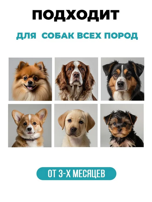 Шампунь для собак от запаха очищающий, гипоаллергенный, проф, вариант, фото 5