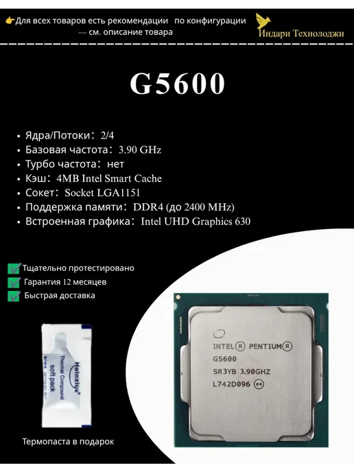 Intel Intel Pentium Gold G5600