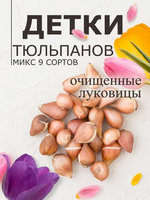 согреем вместе Тюльпаны луковицы многолетние 180гр микс детки, 180 г, фото 2