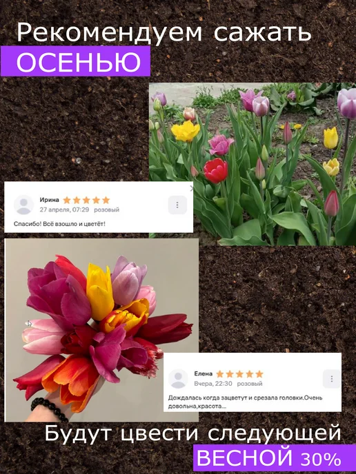 согреем вместе Тюльпаны луковицы многолетние 180гр микс детки, 180 г, фото 5