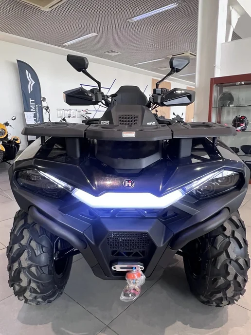 Hisun Квадроцикл Guardian 750 Long, черный, фото 4