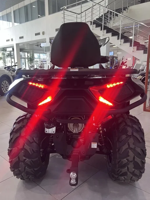Hisun Квадроцикл Guardian 750 Long, черный, фото 5