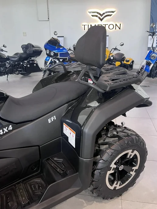 Hisun Квадроцикл Guardian 750 Long, черный, фото 7
