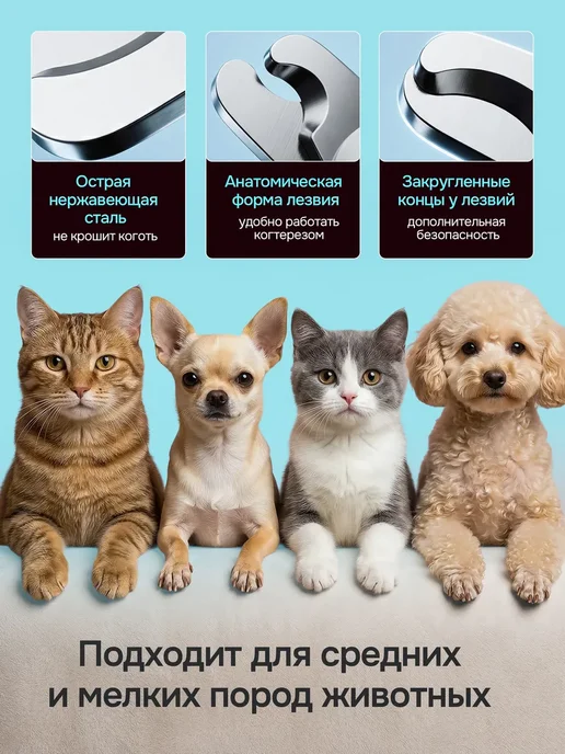 Когтерезка для кошек и собак ножницы, голубой, фото 3