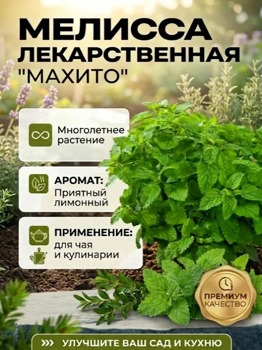 Семена мелиссы лекарственной Махито, вариант