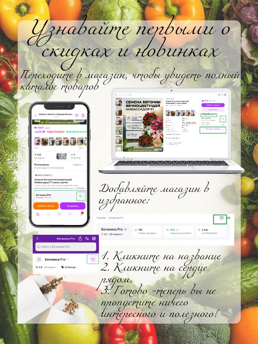 Семена мелиссы лекарственной Махито, вариант, фото 7