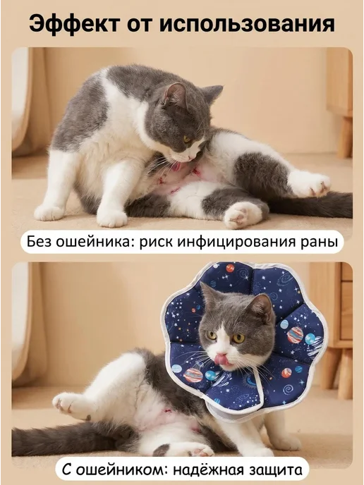Воротник для кошек после операции, вариант, фото 2