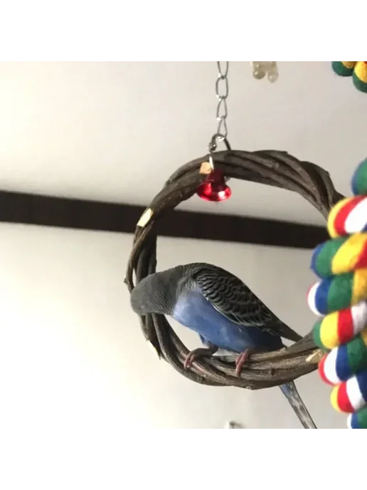 HATELI Деревянные кольца для птиц Dia. 20cm, вариант, фото 6