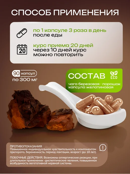 Эко Теремок Чага (гриб) алтайская, 90 капсул, вариант, фото 2