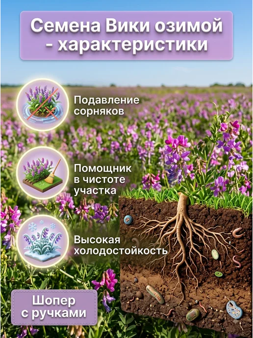 МосАгроГрупп Семена Вики озимой 3 кг сидерат для посева, 7 кг, фото 3