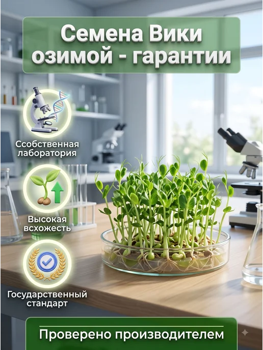МосАгроГрупп Семена Вики озимой 3 кг сидерат для посева, 7 кг, фото 4