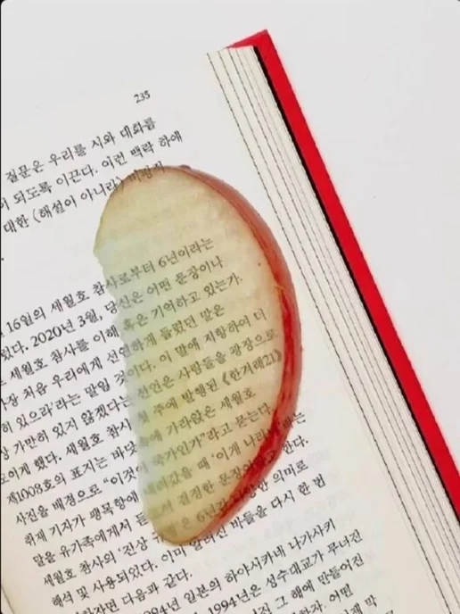 Нет бренда Закладка для книг Watermelon, вариант, фото 5